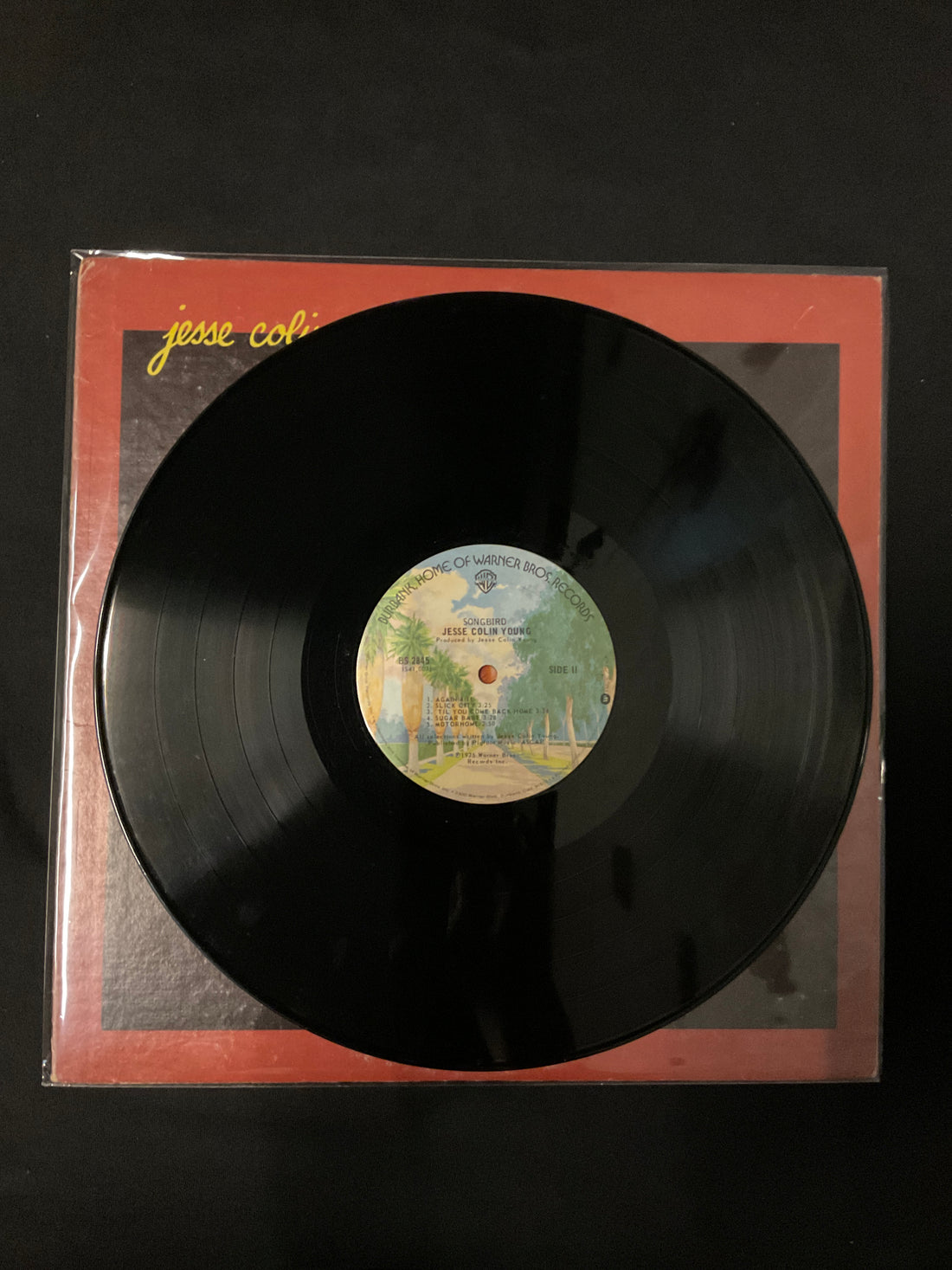 แผ่นเสียง Jesse Colin Young - Songbird Vinyl VG+