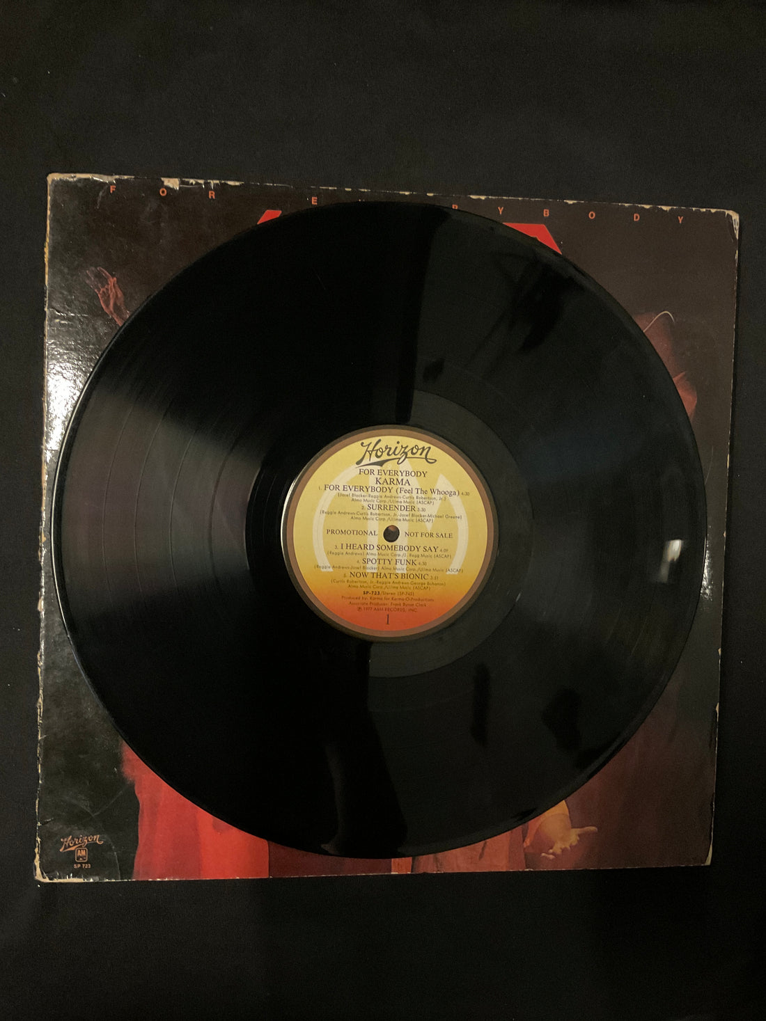 Karma - For Everybody Vinyl VG+