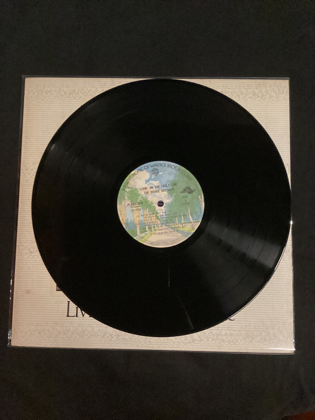 แผ่นเสียง The Doobie Brothers - Livin' On The Fault Line Vinyl VG+