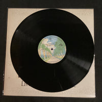 แผ่นเสียง The Doobie Brothers - Livin' On The Fault Line Vinyl VG+