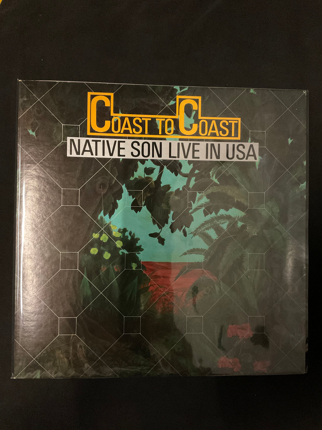 Native Son - Coast To Coast Live In USA Vinyl VG+ 2LPs