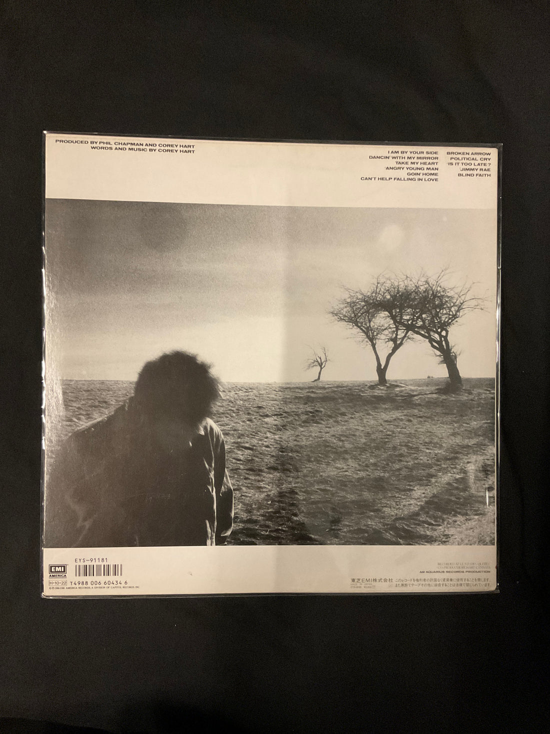 แผ่นเสียง Corey Hart - Fields Of Fire Vinyl VG+