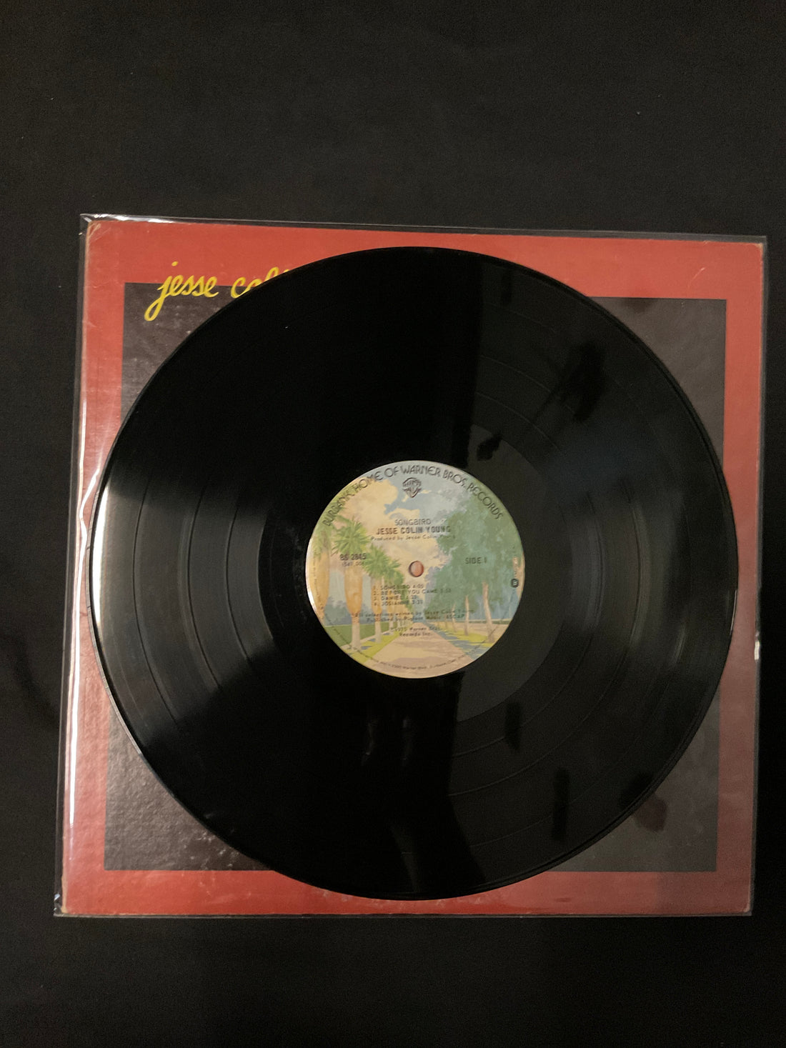 แผ่นเสียง Jesse Colin Young - Songbird Vinyl VG+