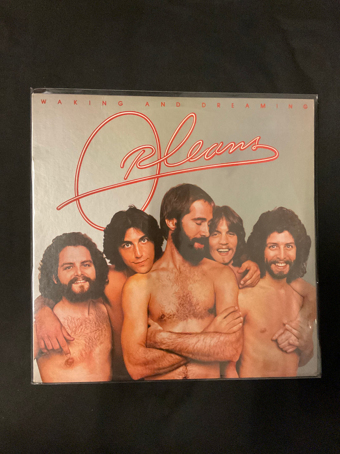 แผ่นเสียง Orleans - Waking And Dreaming Vinyl VG+
