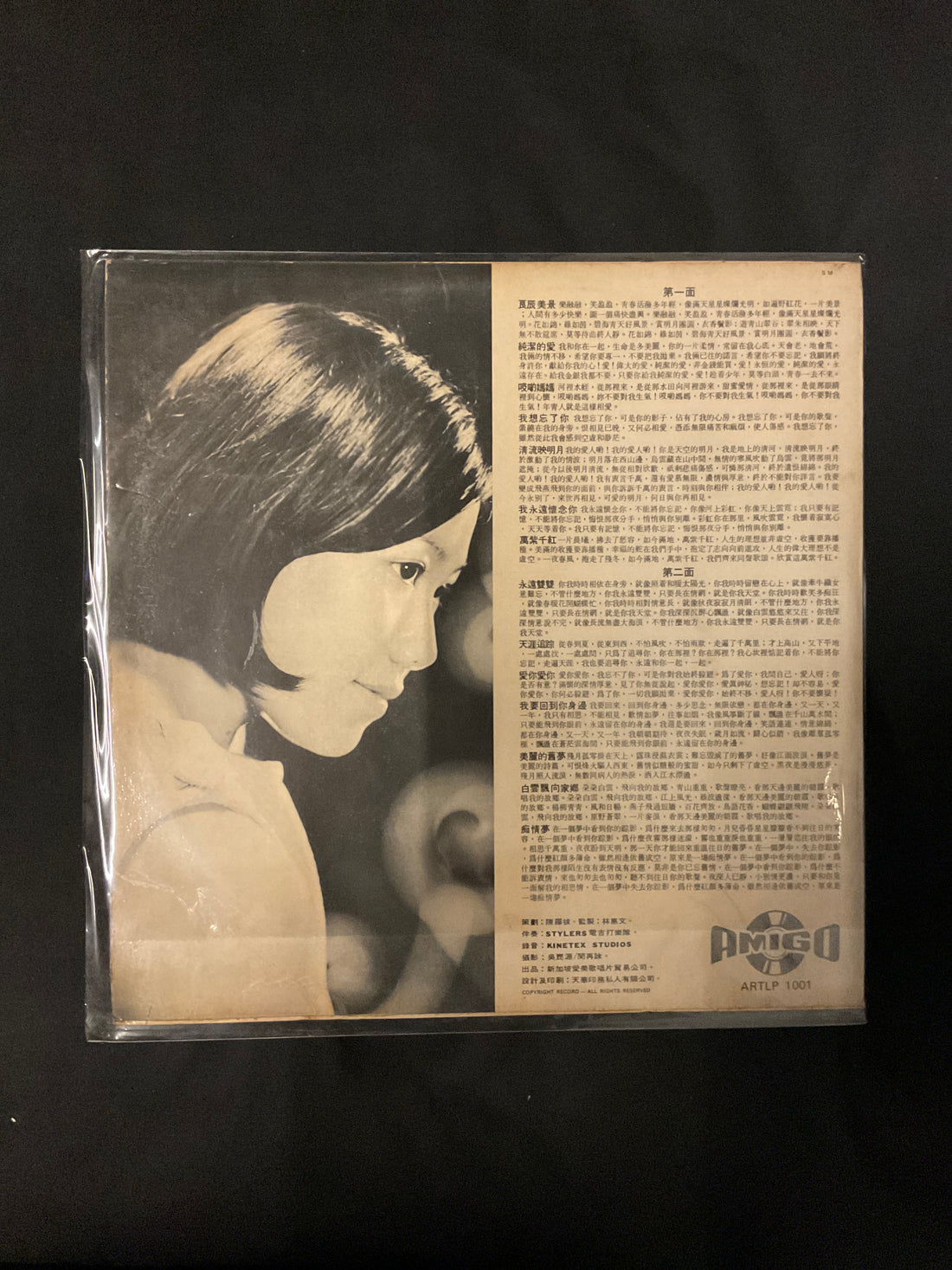 แผ่นเสียง Lena Lim - 林竹君歌集 第二輯 Golden Voice Of Lena Lim Vol. 2 Vinyl VG+
