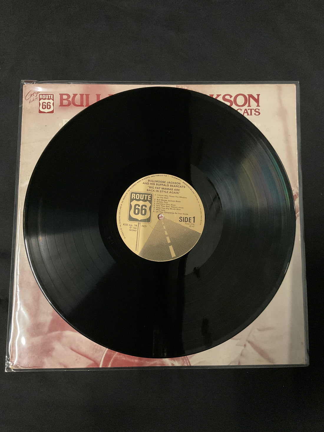 แผ่นเสียง Bull Moose Jackson & His Buffalo Bearcats - Big Fat Mamas Are Back In Style Again Vinyl VG+