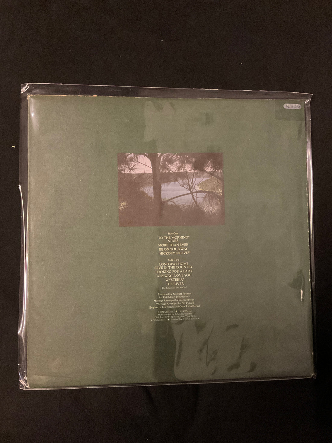 แผ่นเสียง Dan Fogelberg - Home Free Vinyl VG+