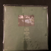 แผ่นเสียง Dan Fogelberg - Home Free Vinyl VG+