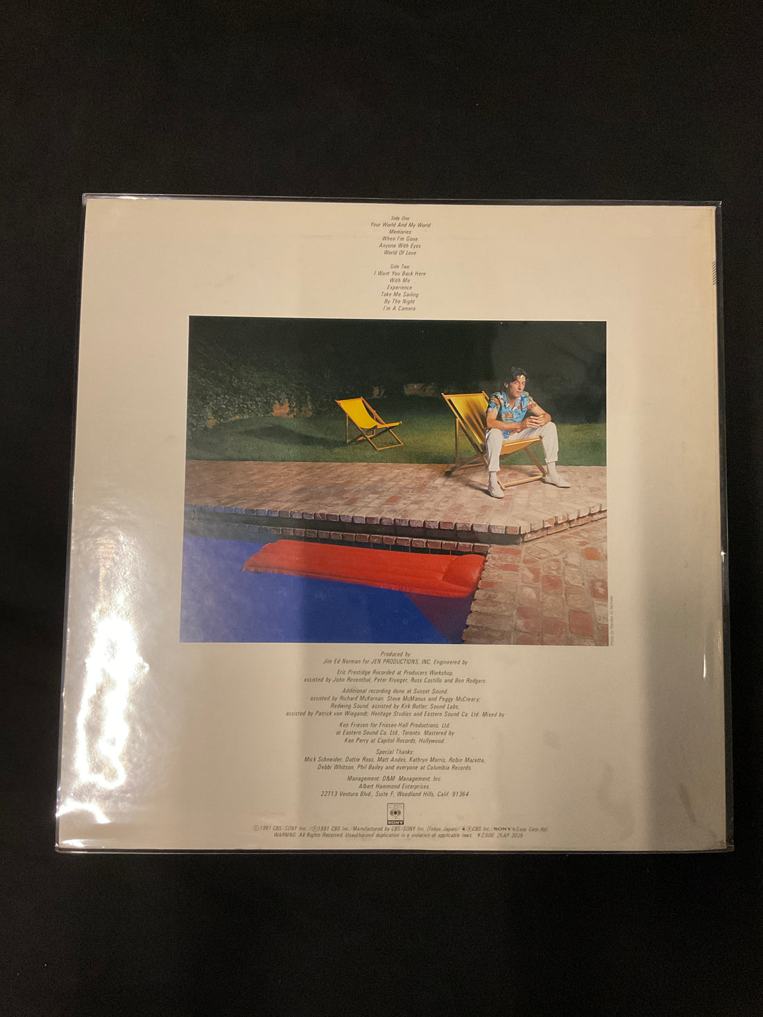 แผ่นเสียง Albert Hammond - Your World And My World Vinyl VG+