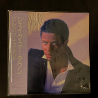 แผ่นเสียง Gregory Abbott - Shake You Down Vinyl VG+