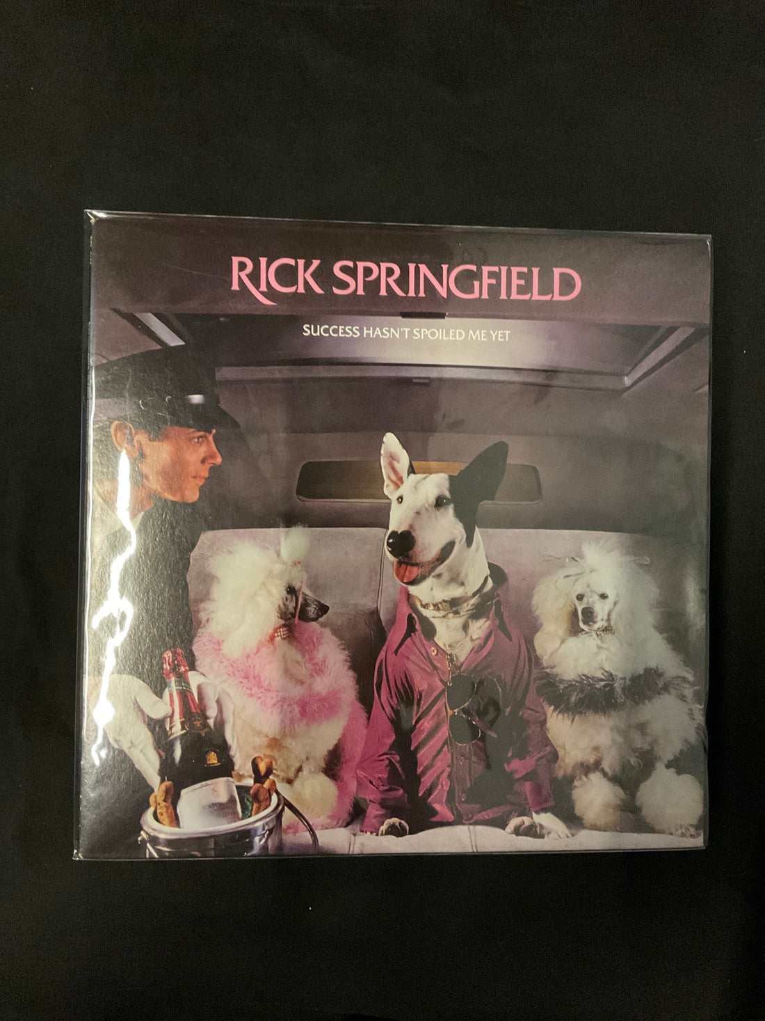 แผ่นเสียง Rick Springfield - Success Hasn't Spoiled Me Yet Vinyl VG+