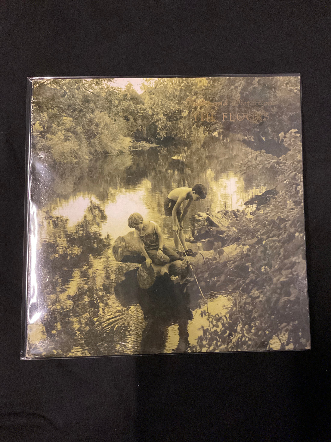 แผ่นเสียง The Floors - Truths And Distortions Vinyl VG+