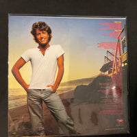 แผ่นเสียง Andy Gibb - Andy Gibb's Greatest Hits Vinyl VG+