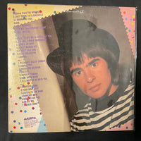 แผ่นเสียง The Monkees - Golden Story Vinyl VG+ 2LPs