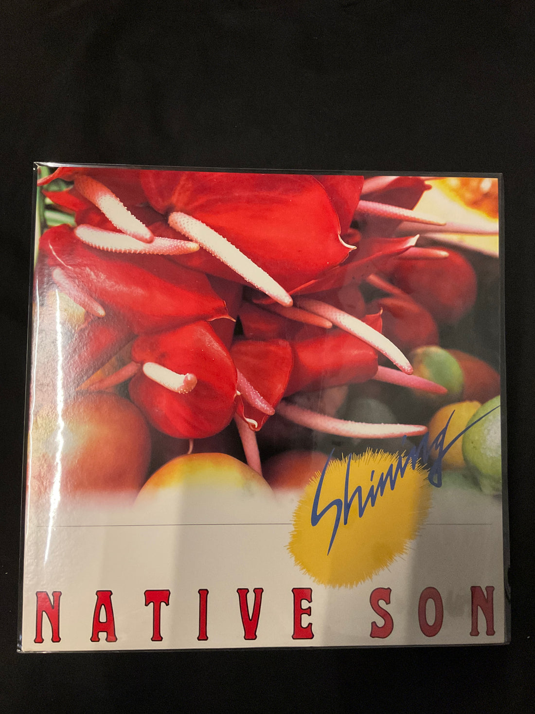 แผ่นเสียง Native Son - Shining Vinyl VG+