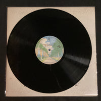 แผ่นเสียง The Doobie Brothers - Livin' On The Fault Line Vinyl VG+