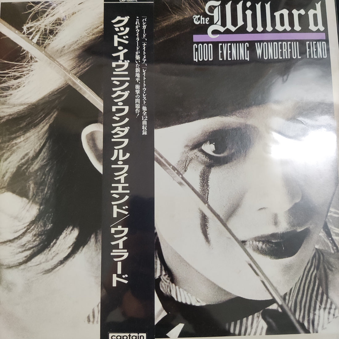 แผ่นเสียง The Willard - Good Evening Wonderful Fiend Vinyl VG+
