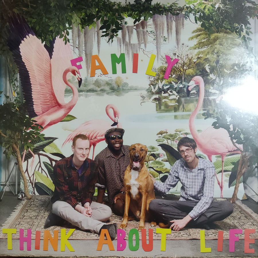 แผ่นเสียง Think About Life - Family Very Good Plus Vinyl VG+ แผ่นสี