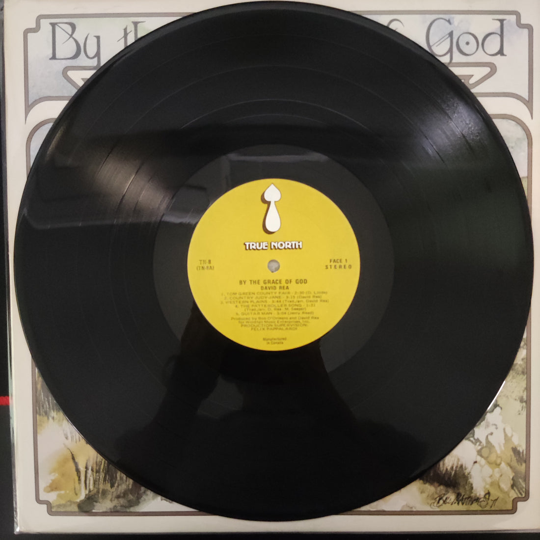 แผ่นเสียง David Rea - By The Grace Of God Vinyl VG+