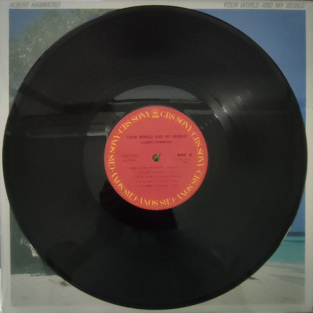 แผ่นเสียง Albert Hammond - Your World And My World Vinyl VG+