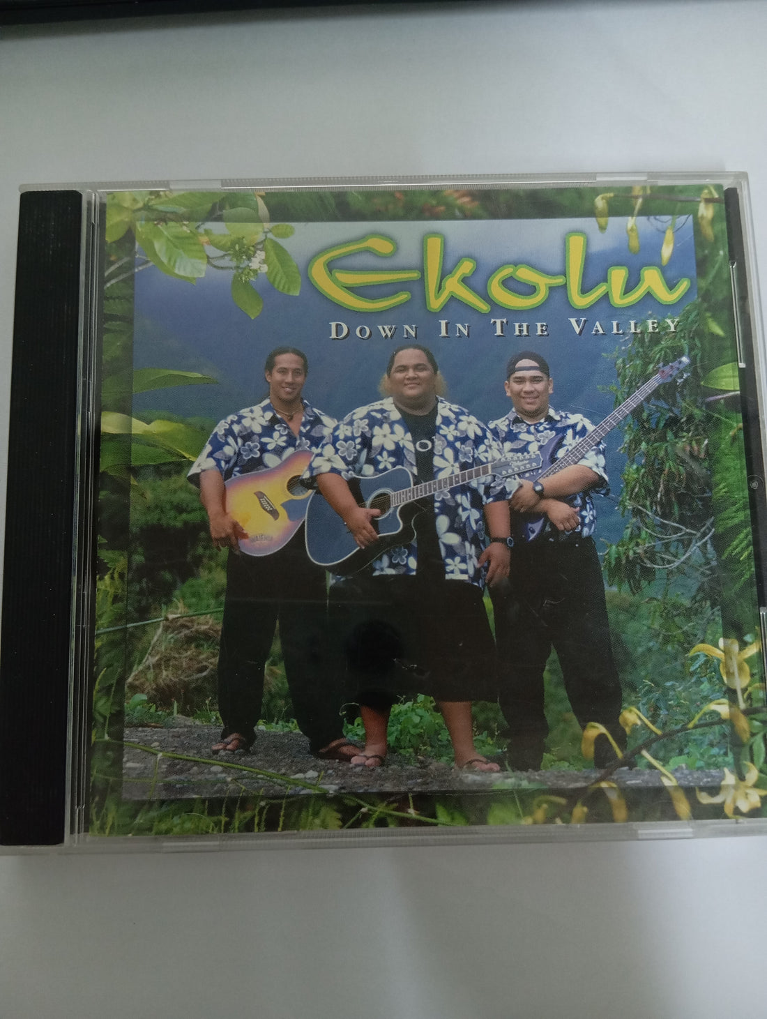 EKOLU - DOWN IN THE VALLEY (CD) (VG+)