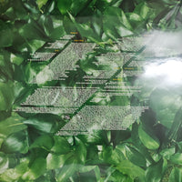 แผ่นเสียง Basement Jaxx - Remedy Vinyl VG+