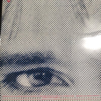 แผ่นเสียง Rod Stewart - Camouflage Vinyl VG+