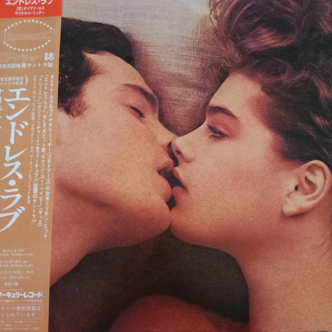 แผ่นเสียง Various - Endless Love (Vinyl) (VG+)