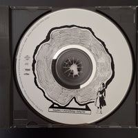 ซีดี Hayden - Everything I Long For CD VG+