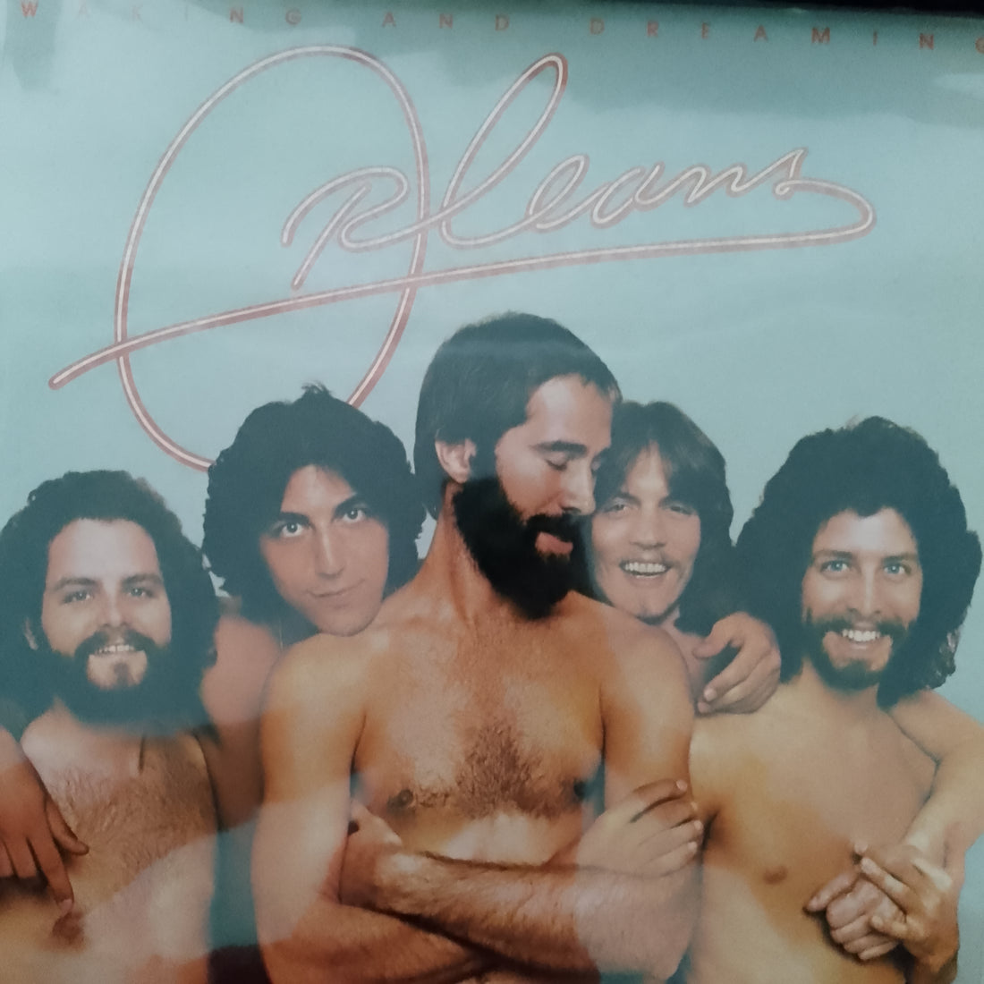 แผ่นเสียง Orleans - Waking And Dreaming Vinyl VG+