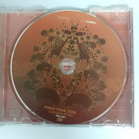 ซีดี CLAZZIQUAI PROJECT - Remix Pinch Your Soul CD VG+