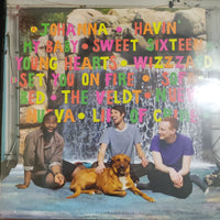 แผ่นเสียง Think About Life - Family Very Good Plus Vinyl VG+ แผ่นสี