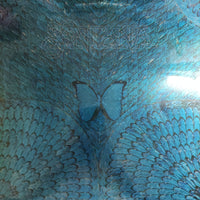 แผ่นเสียง Santana - Borboletta Vinyl VG+