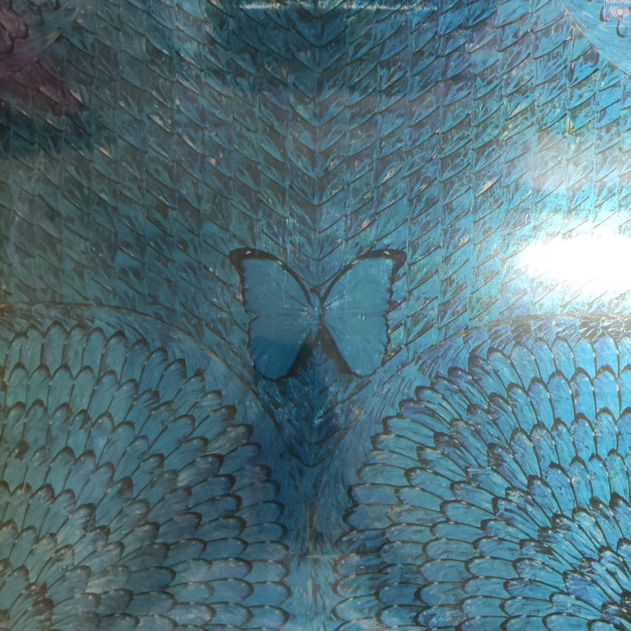 แผ่นเสียง Santana - Borboletta Vinyl VG+