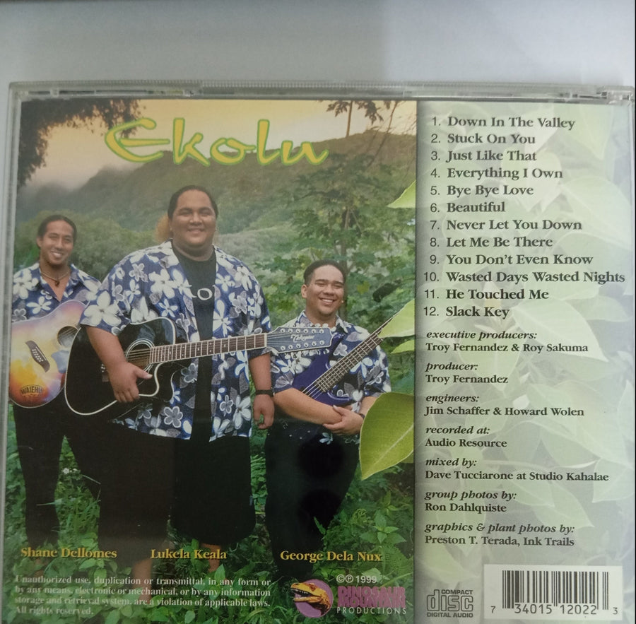 EKOLU - DOWN IN THE VALLEY (CD) (VG+)