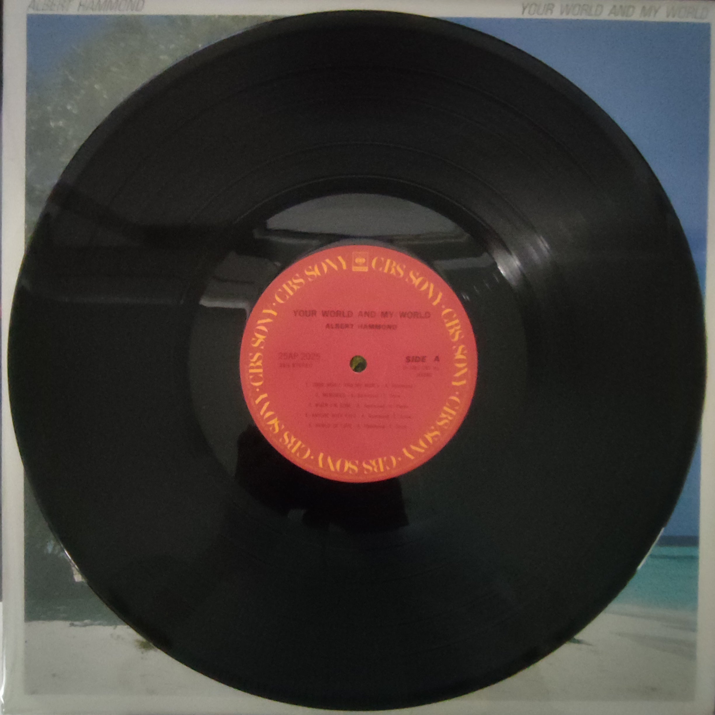 Albert Hammond - Your World And My World (Vinyl) ที่ Restory Music ...