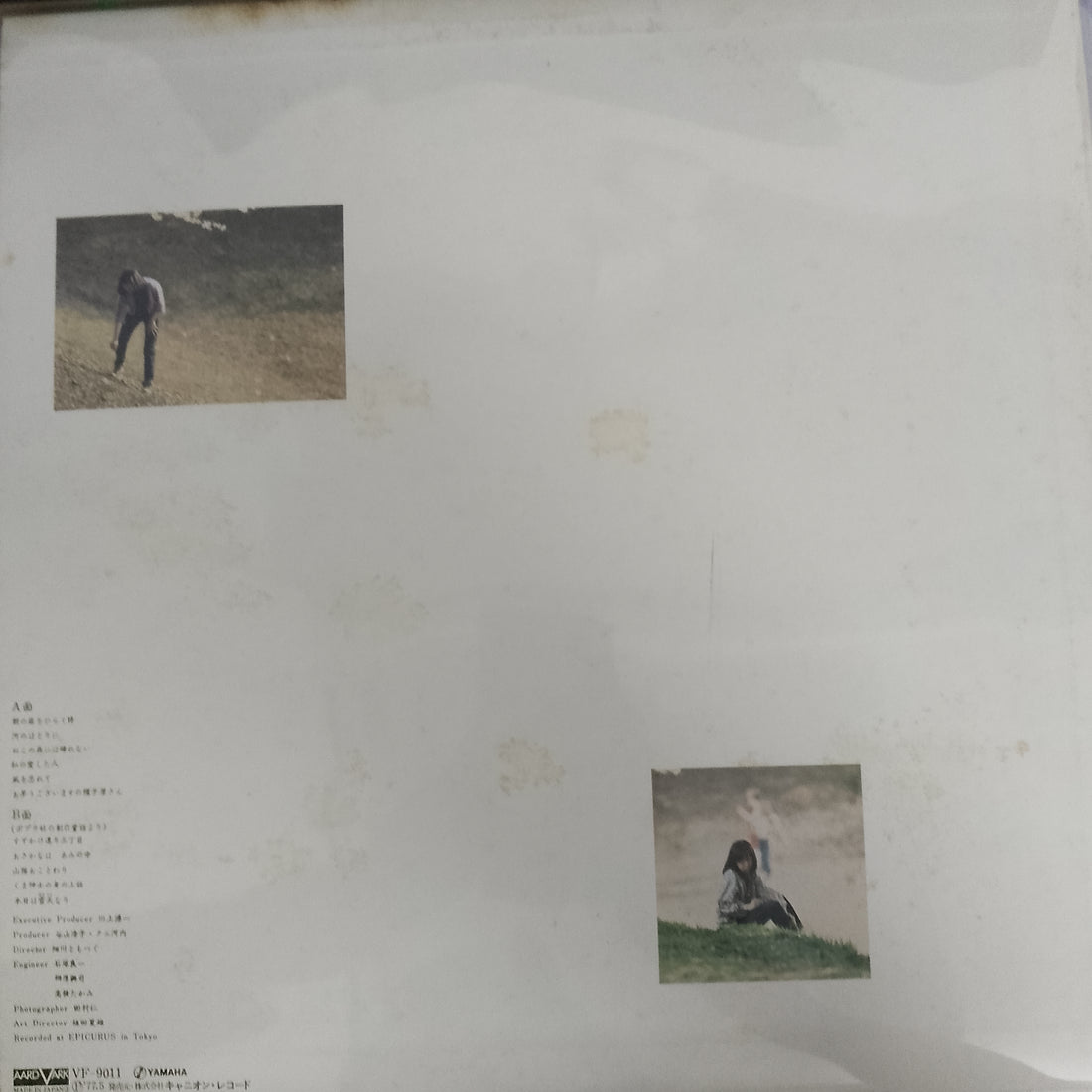 แผ่นเสียง Hiroko Taniyama - ねこの森には帰れない Vinyl VG+