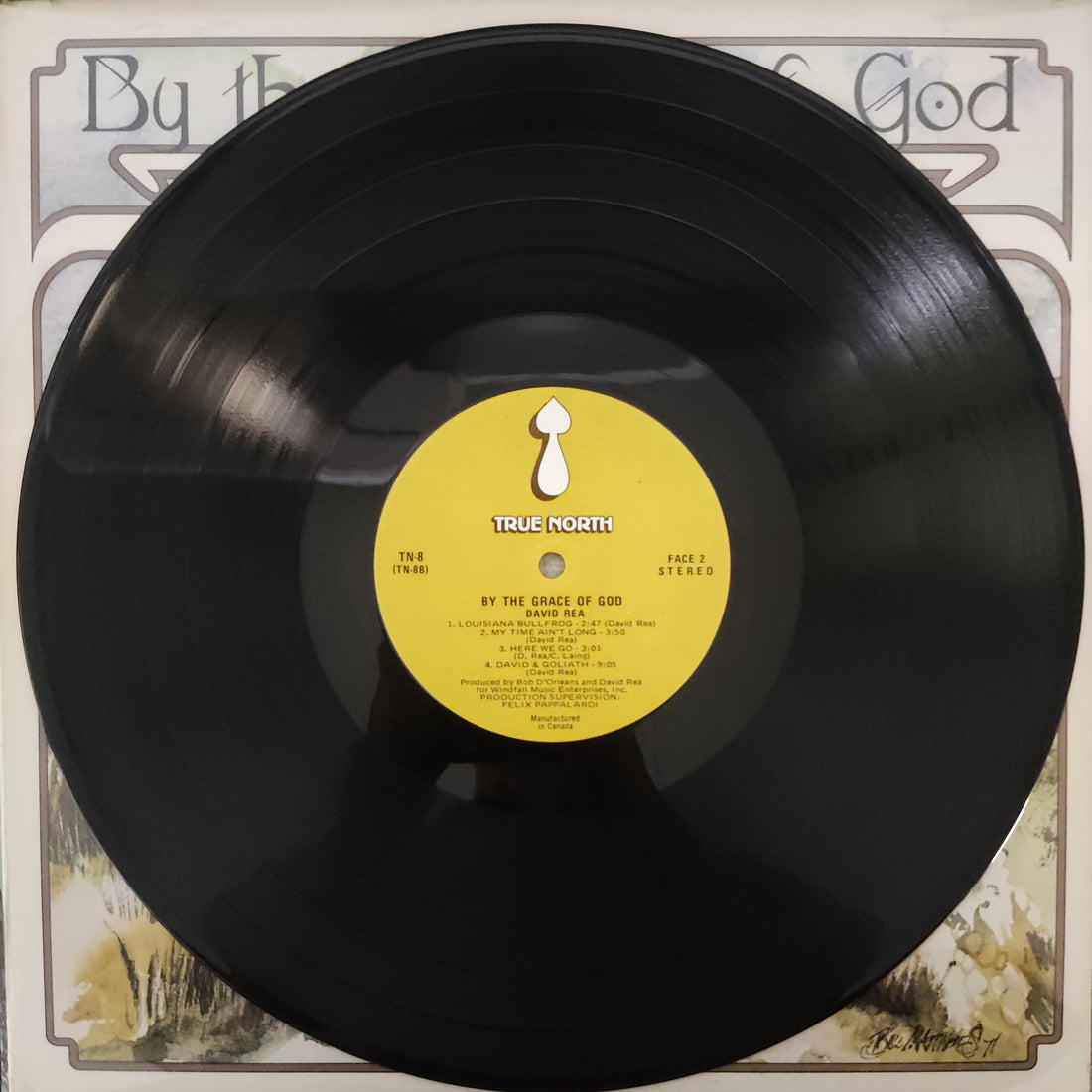 แผ่นเสียง David Rea - By The Grace Of God Vinyl VG+