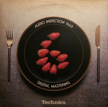 Various :  Technics Audio Inspection Vol. 6 (LP, Comp)
