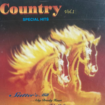 ซีดี Various - Country Special Hits Vol.1 (CD)(G+)